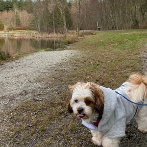 Meet your Posher, Abby